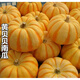 壹果萬麥 新鮮特色食材黃金貝貝瓜迷你小南瓜 5斤