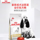 【現(xiàn)貨】皇家成犬泌尿道全價處方糧LP18感染尿頻尿閉膀胱結(jié)石結(jié)晶 成犬泌尿道全價處方糧LP18/2KG 12月齡以上成犬