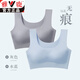 雅鹿2件裝 運動(dòng)內衣女無(wú)鋼圈聚攏無(wú)痕背心式胸罩薄款調整型美背文胸 灰色_水藍【粗肩帶2件裝】 M（建議100-120斤 75BCD&80AB）