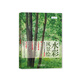 水彩風(fēng)景繪技法從入門到精通（精講版）