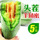 山東羊角蜜甜瓜5斤新鮮水果蜜瓜香瓜密瓜當(dāng)季整箱