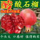 酸石榴水果新鮮水果現摘  特酸純酸 云南蒙自 云南建水酸甜石榴 5斤特酸石榴 單果重約200克