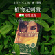 海娜粉100%天然純植物染發(fā)劑膏男女蓋白發(fā)印度正品進(jìn)口官方旗艦店 有機(jī)純海娜300g【6袋*50g】棕紅