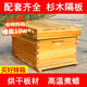 蜂之家蜜蜂蜂箱全套中蜂蜂桶十框煮蠟烘干巢框誘蜂箱杉木養(yǎng)蜂標準箱批發(fā) 煮蠟蜂箱(散裝)