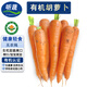 聽蔬有機(jī)胡蘿卜3斤5斤 無農(nóng)殘榨汁寶寶輔食 可帶泥 蔬菜生鮮匯紅蘿卜 3斤 (不帶泥-會有個別丑果-介意慎拍)