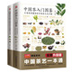 中國茶入門圖鑒+圖解本草綱目藥茶養(yǎng)生速查全書（套裝2冊）茶經(jīng) 茶道 茶藝