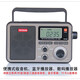 德生（Tecsun） RP-309老人插卡全波段便攜充電式DSP收音機(jī)臺(tái)式家用音響藍(lán)牙音箱數(shù)碼播放器 RP-309+8G卡+電源頭