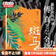斑馬 傅真 著(zhù) 口碑書(shū)藏地白皮書(shū)作者 金龜換酒旅行游記 中信書(shū)店