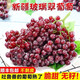 甘賢新疆吐魯番玻璃翠葡萄【順豐】新鮮水果現(xiàn)摘無(wú)籽紅提 玻璃脆葡萄 正宗新疆玻璃翠葡萄【4斤】
