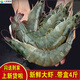 鹿凌青特大號新鮮竹節(jié)蝦 黑虎蝦 斑節(jié)蝦 紅蝦 青蝦 白蝦 鹽凍大蝦 蝦類 大蝦 1800g(凈重)  16-18cm只只