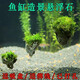 魚(yú)缸水草造景石莫斯懸浮石阿凡達懸浮石懶人水草水景魚(yú)蝦躲避擺件 3-5厘米浮石3個(gè)【粘水草】