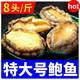 鮮活鮑魚(yú)大鮑魚(yú)野生海捕鮑魚(yú)新鮮鮮活鮑魚(yú)批發(fā)海鮮水產(chǎn)貝類(lèi) 活凍大鮑魚(yú)12-14頭