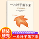 一年級課外閱讀必讀 清華附小學(xué)校推薦一二年級課外書閱讀必讀繪本 猜猜我有多愛你 爺爺一定有辦法 蚯蚓的日記 落葉跳舞 逃家小兔 我爸爸 我媽媽買綠豆 團(tuán)圓 青蛙和蟾蜍 小豬唏哩呼嚕抱抱  拼注音版可選