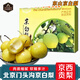 南步正宗北京門(mén)頭溝京白梨 北京特產(chǎn)軍莊鎮東山村京西貢梨新鮮水果 5斤 中果【禮盒裝】
