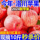 正宗陜西洛川紅富士蘋果9斤新鮮水果當(dāng)季脆甜冰糖心一整箱包郵w 3斤中果