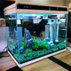 森森（SUNSUN）超白玻璃魚缸一體缸自循環(huán)客廳小型家用水族箱生態(tài)免換水金魚缸 HE-800超白缸 內(nèi)置棉和濾材