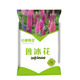小鎮有花魯冰花種子羽扇豆5克 陽(yáng)臺盆栽觀(guān)賞花卉種子耐寒花卉種子