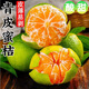 泰匯吃蜜桔 青皮蜜橘薄皮桔子孕婦水果新鮮整箱時令酸橘子 整箱5.5-6斤單果50-55MM凈5