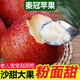 陜西老樹(shù)秦冠粉蘋(píng)果香甜軟糯刮泥吃10斤新鮮水果整箱批發(fā) 帶箱10斤大果香甜粉糯 精選老樹(shù)秦冠