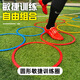 敏捷圈體能環(huán)兒童感統(tǒng)跳跳圈跳房子足球籃球訓(xùn)練環(huán)敏捷靈活步伐圈 60CM體能環(huán)12只裝