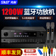 先科（SAST）W18功放機大功率專(zhuān)業(yè)家用卡拉ok音響功放 高保真無(wú)線(xiàn)藍牙重低音KTV2.0聲道AV功放機 1200瓦藍牙無(wú)損+雙無(wú)線(xiàn)話(huà)筒