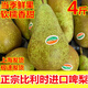 進(jìn)口比利時(shí)青啤梨當季新鮮水果孕婦寶寶吃軟糯香甜精選品質(zhì)果 4斤（9-12個(gè)）