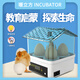 暖立方全自動(dòng)孵化器小型家用孵化機實(shí)驗孵化箱智能蘆丁孵蛋器雞鴨鵝鴿 【教育啟蒙】4枚半自動(dòng)孵化器