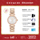 蔻馳（COACH）CARY系列鑲鉆貝母表盤鋼帶石英女表14503838 禮物/送禮