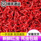畫(huà)魚(yú)紅蟲(chóng)活餌釣魚(yú)餌特大公蟲(chóng)活體秋冬野釣鯽魚(yú)餌料喂魚(yú)魚(yú)食 100g大號紅蟲(chóng)【順豐】+工具包
