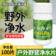 九行（JIUHANG） 野外生活戶外河水飲用水消菌殺毒凈水片 抗震洪災(zāi)后水體凈化安全 0.1克/片*100片/1瓶