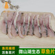 貓撲魚(yú)（mao pu yu） 微山湖生態(tài)草魚(yú) 魚(yú)片生魚(yú)片酸菜魚(yú)魚(yú)片 手工現(xiàn)切 新鮮無(wú)添加魚(yú)片 草魚(yú)片現(xiàn)切（凈重1000g）