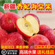 鼎果度【順豐】正宗新疆香妃海棠果雞心小蘋(píng)果3斤當季新鮮水果脆甜整箱H 1斤【順豐】