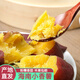 海南板粟小香薯富硒沙地紅薯黃心烤地瓜農(nóng)家自種現(xiàn)挖新鮮番薯 5斤 中大果