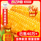谷田記谷田記黃糯玉米10支 黃玉米260g×10支2600g