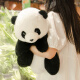 捉趣（ZHUOQU）仿真大熊猫毛绒玩具五月龄花花玩偶公仔布娃娃果赖抱枕女生日礼物