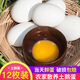 帆兒莊園新鮮正宗土鵝蛋新鮮農家鵝蛋孕婦鵝蛋散養綠色鵝蛋孕婦兒童大鵝蛋 12枚（80-100g）