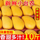 鶯棲軟糯香甜小臺(tái)芒10斤臺(tái)農(nóng)芒果應(yīng)季新鮮水果生鮮產(chǎn)地直發(fā)整箱核小甜 小臺(tái)芒 帶箱3斤小果