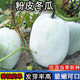 粉皮大冬瓜種子春秋四季播綠色蔬菜籽南北方種植白皮巨型冬瓜種孑 粉皮冬瓜種子【1包 約25粒】