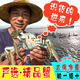 【活蟹】伊樂(lè )草 超大全母蘇州太湖大閘蟹鮮活現貨螃蟹中秋禮盒 精品螃蟹 全母3.0-3.3兩 8只