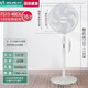 金羚（JINLING） 金羚商用落地扇純銅電機大風(fēng)量強力鋁葉金屬商用工業(yè)落地扇 16寸升級六葉弦月扇葉  新上市 333