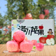 洛川蘋果（luochuanapple）【順豐】陜西延安紅富士蘋果洛川蘋果產(chǎn)地直發(fā)脆甜多汁能帶皮吃 18枚90mm 大果顆顆心選 永遠(yuǎn)18歲