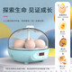 暖立方孵化機全自動(dòng)小型孵蛋器家用型雞鴨鵝孵化器蘆丁雞孵化箱 【自動(dòng)翻蛋】4枚USB孵化器