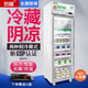 勁福 藥品陰涼柜 立式展示柜藥品冷藏柜藥品冰箱恒溫藥店冷柜單門(mén)雙門(mén)三門(mén)新GSP認證風(fēng)冷冰柜陳列柜 單門(mén)上置壓縮機【升級鋁合金400#】