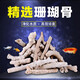 天然過(guò)濾材料水族箱造景精選優(yōu)質(zhì)珊瑚骨珊瑚砂魚(yú)缸珊瑚石底砂 精選珊瑚骨5斤 +網(wǎng)袋【白色】5厘米以上