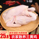 海藍鍋鍋團三黃雞肉 農(nóng)家散養(yǎng)走地雞 140天小母雞椰子雞火鍋生鮮雞肉 三黃雞【1只裝*750克】