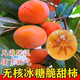 無(wú)核冰糖柿子樹(shù)苗種無(wú)籽無(wú)核脆甜柿子苗盆栽地栽南北方種植 3年柿子樹(shù)明年結果