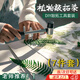 衛(wèi)辭植物拓印工具套裝拓染染材料包全套兒童diy敲拓染錘樹(shù)葉花拓印畫(huà) 【拓染工具套裝】7件套