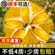 儲褚榴蓮進(jìn)口水果 泰國金枕榴蓮 帶殼新鮮榴蓮  精選A果批發(fā)榴蓮 4-5斤熱銷(xiāo)款包4房
