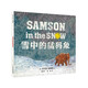 凱迪克金獎(jiǎng)大師繪本系列：雪中的猛犸象（麥克米倫世紀(jì)童書(shū)館）
