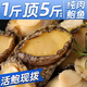 海道夫熟凍大鮑魚三去鮑魚肉免處理九分熟去齒去內(nèi)臟燒烤海鮮火鍋食材 三去特大鮑魚肉500g【16-20?！? title=